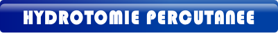 wp51f9cedf.png