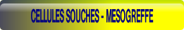 wpcb329f90.png