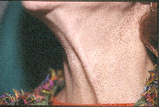 wpf8abb5d0.png